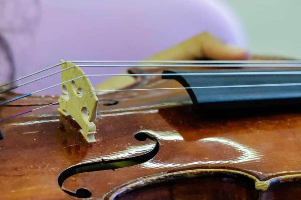 Musikschule Reinach AG | Violine