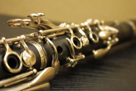 Musikschule Reinach AG | Klarinette
